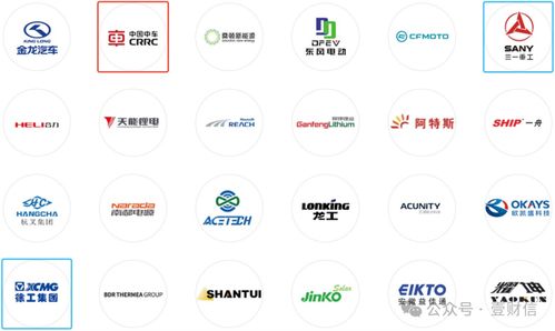 思客琦問詢回復引質疑 高管履歷披露存疑，信息咨詢服務成焦點